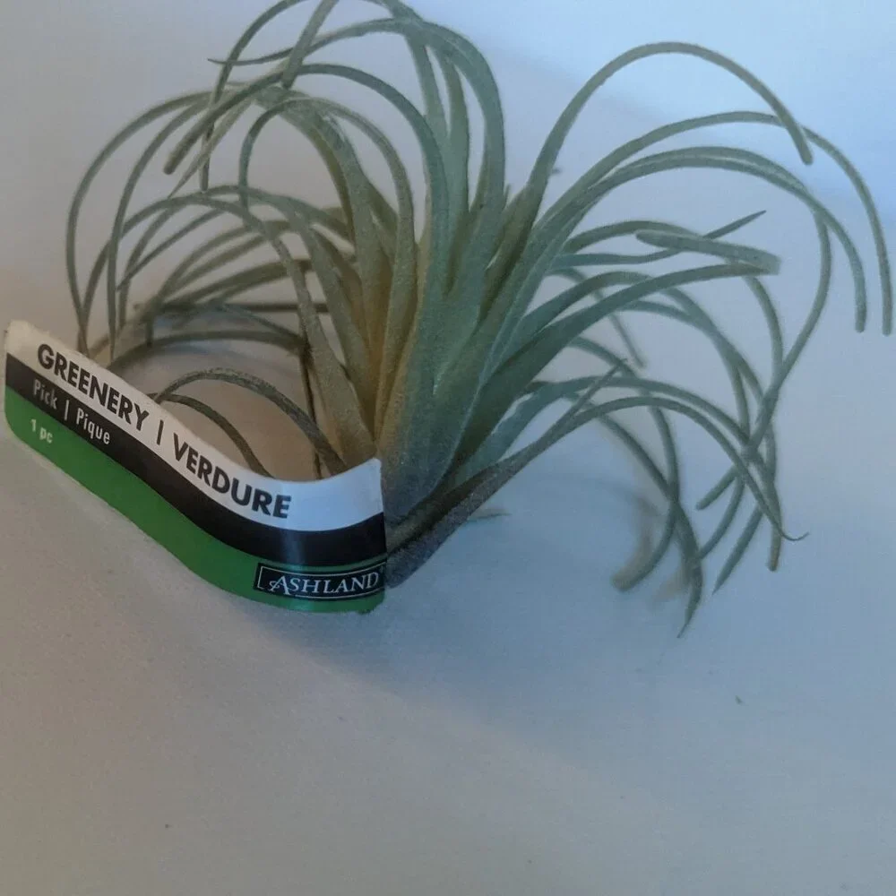 NWT Ashland 2 Spiky Tropical Cabbage Succulent Stems Faux Floral Decor Michael's